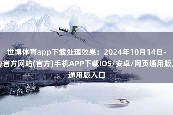 世博体育app下载处理效果：2024年10月14日-世博官方网站(官方)手机APP下载IOS/安卓/网页通用版入口