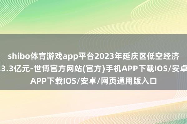 shibo体育游戏app平台2023年延庆区低空经济相干产业产值达23.3亿元-世博官方网站(官方)手机APP下载IOS/安卓/网页通用版入口