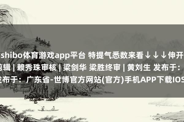 shibo体育游戏app平台 特提气悉数来看↓↓↓伸开剩余72%制图 | 林雨剪辑 | 赖秀珠审核 | 梁剑华 梁胜终审 | 黄刘生 发布于：广东省-世博官方网站(官方)手机APP下载IOS/安卓/网页通用版入口