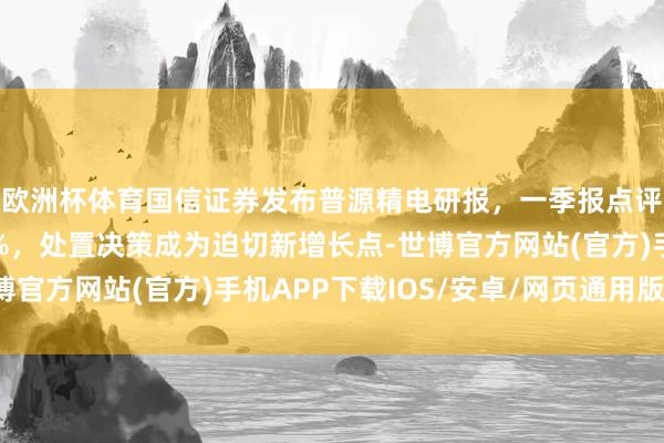 欧洲杯体育国信证券发布普源精电研报，一季报点评：收入同比增长11%，处置决策成为迫切新增长点-世博官方网站(官方)手机APP下载IOS/安卓/网页通用版入口