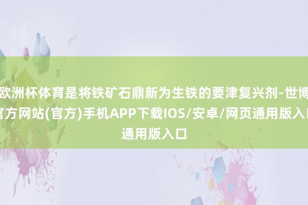 欧洲杯体育是将铁矿石鼎新为生铁的要津复兴剂-世博官方网站(官方)手机APP下载IOS/安卓/网页通用版入口