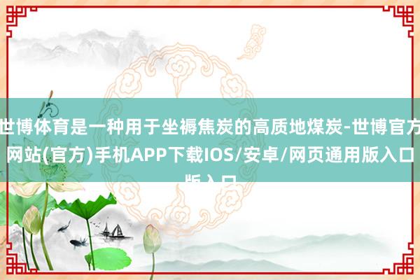 世博体育是一种用于坐褥焦炭的高质地煤炭-世博官方网站(官方)手机APP下载IOS/安卓/网页通用版入口